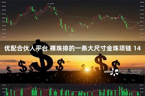 优配合伙人平台 裸珠排的一条大尺寸金珠项链 14