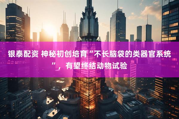 银泰配资 神秘初创培育“不长脑袋的类器官系统”，有望终结动物试验