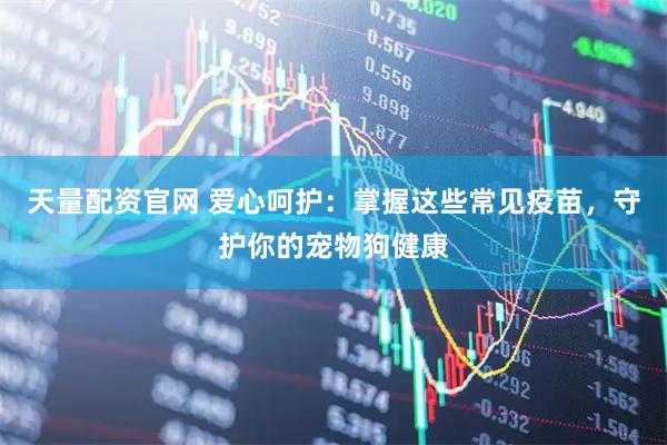 天量配资官网 爱心呵护：掌握这些常见疫苗，守护你的宠物狗健康