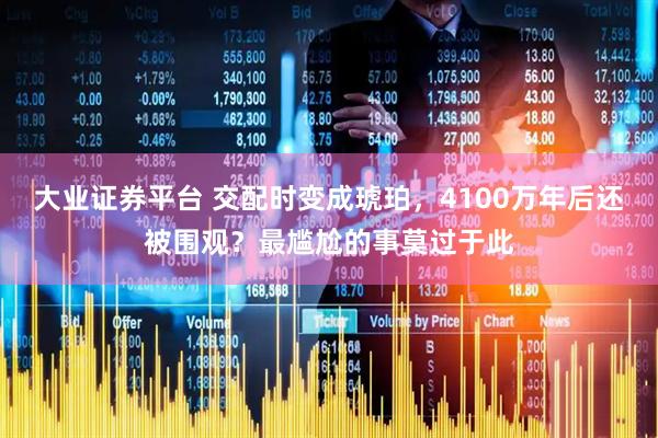 大业证券平台 交配时变成琥珀，4100万年后还被围观？最尴尬的事莫过于此